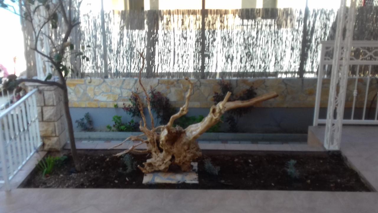 טרוגיר Apartments Viljac מראה חיצוני תמונה